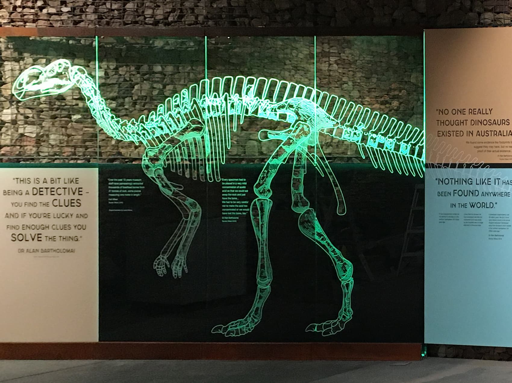 Muttaburrasaurus