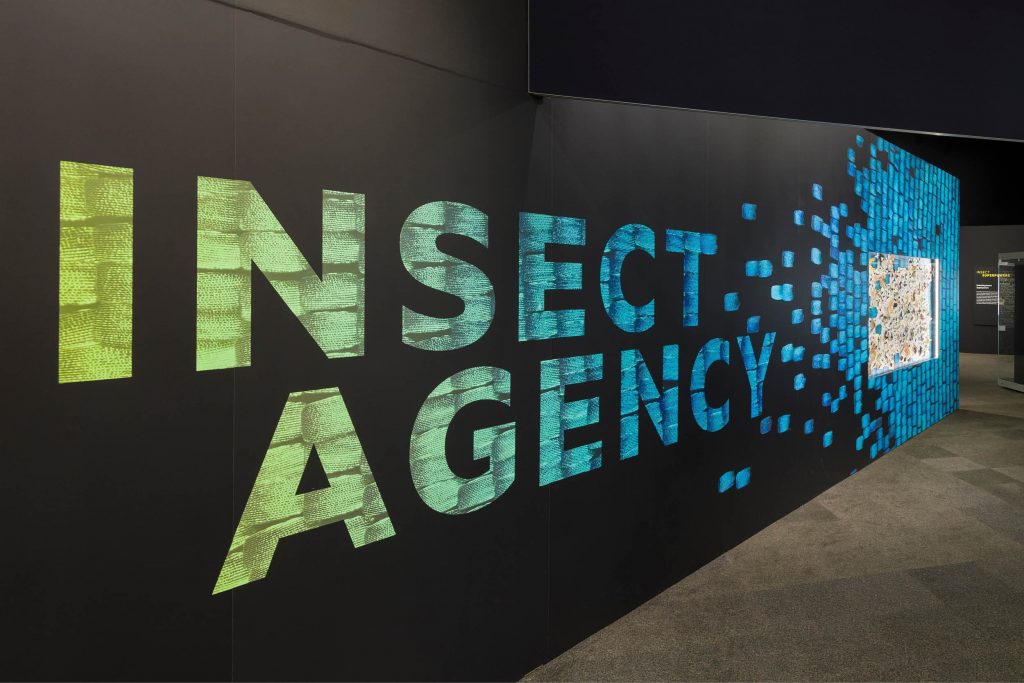 INsect Agecny Exhibition Title Wall