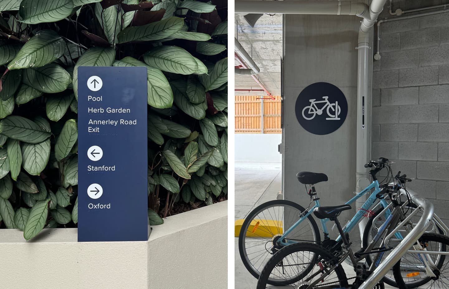 Stanford and Oxford Signage examples