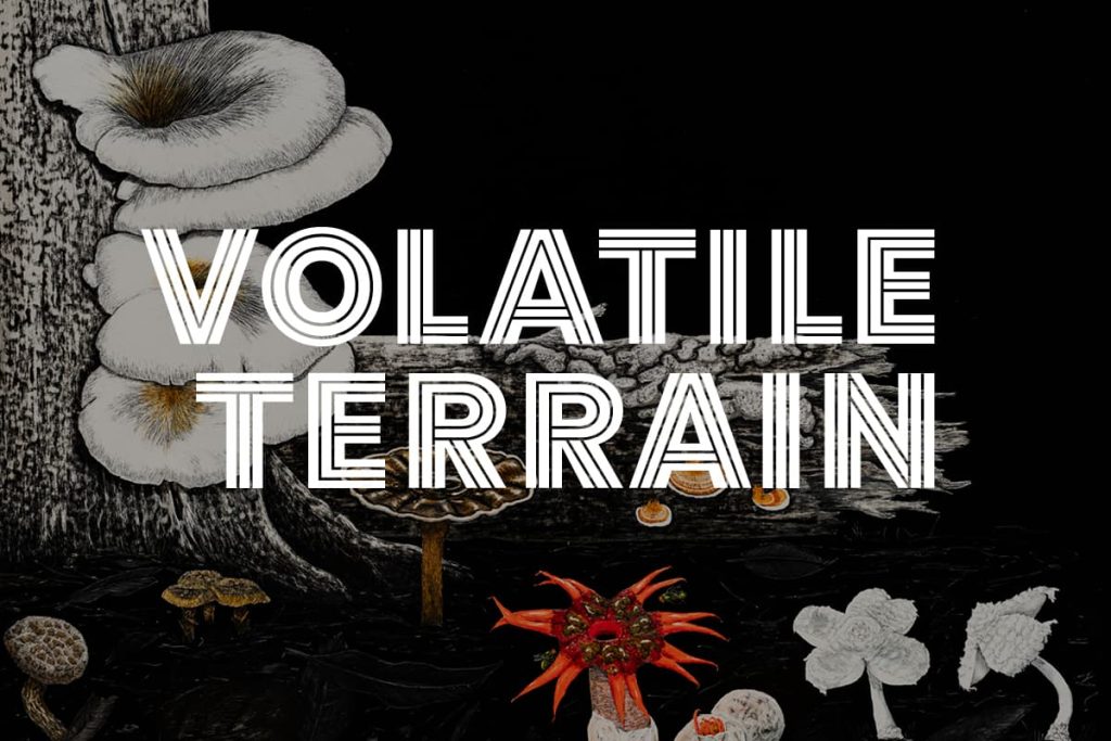Volatile Terrain