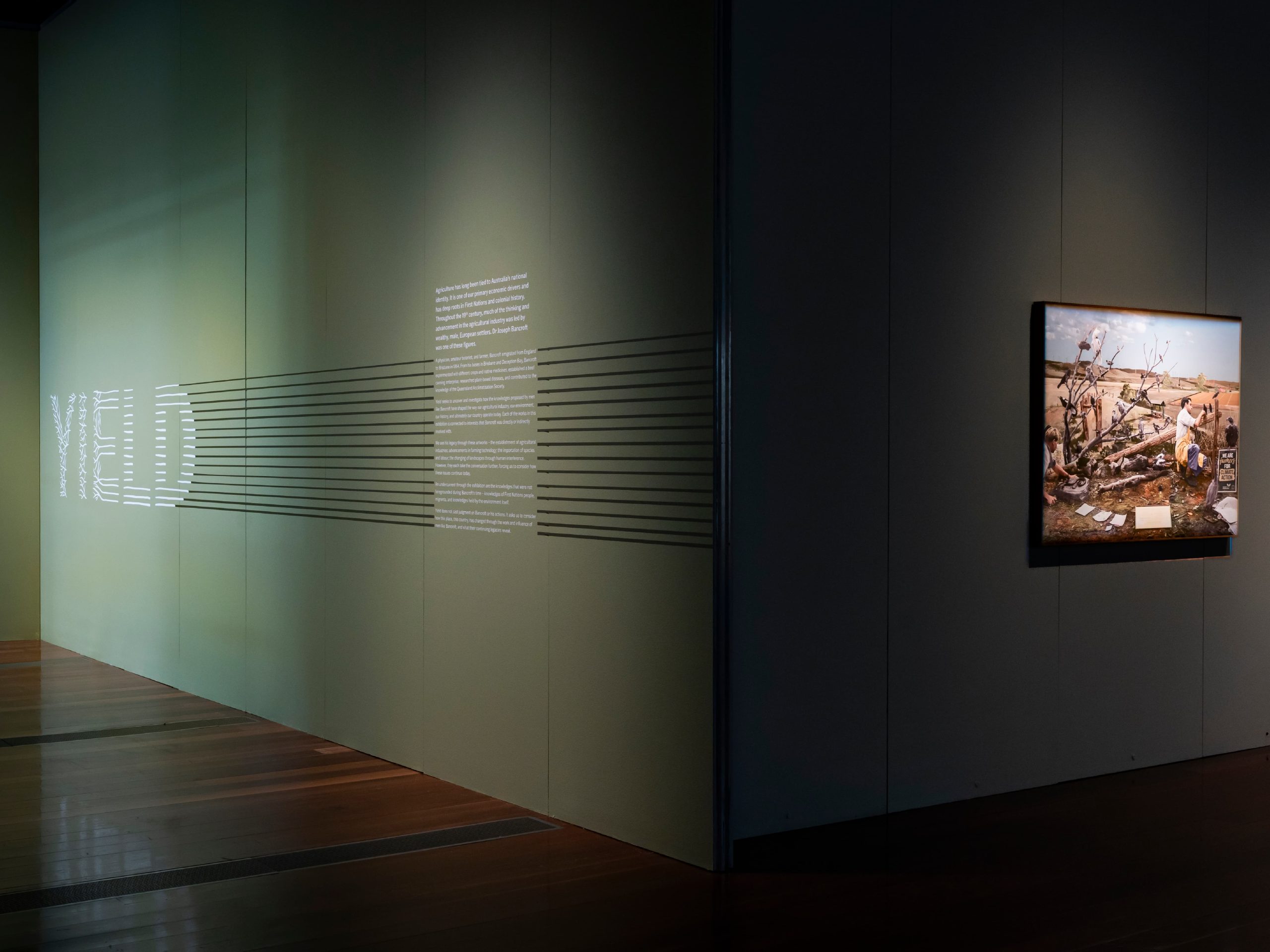 Yield exhibition identity wall