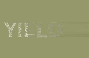 Yield title identity