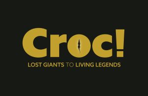 Croc! Lost Giants to Living Legends Identity