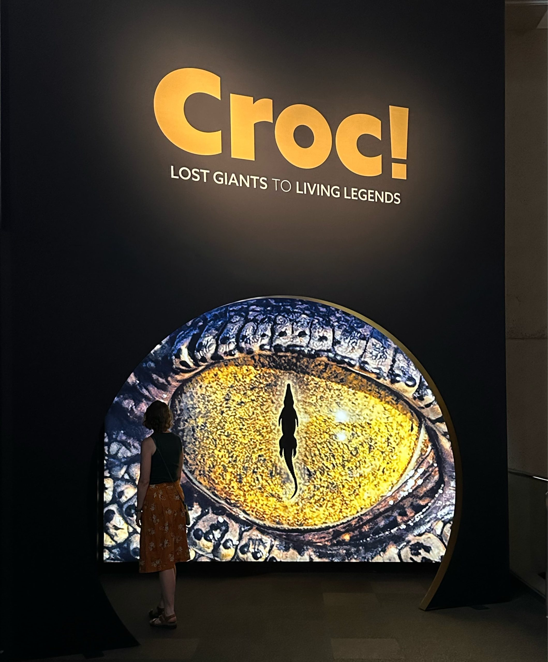 Croc! Lost Giants to Living Legends exhibition entrance