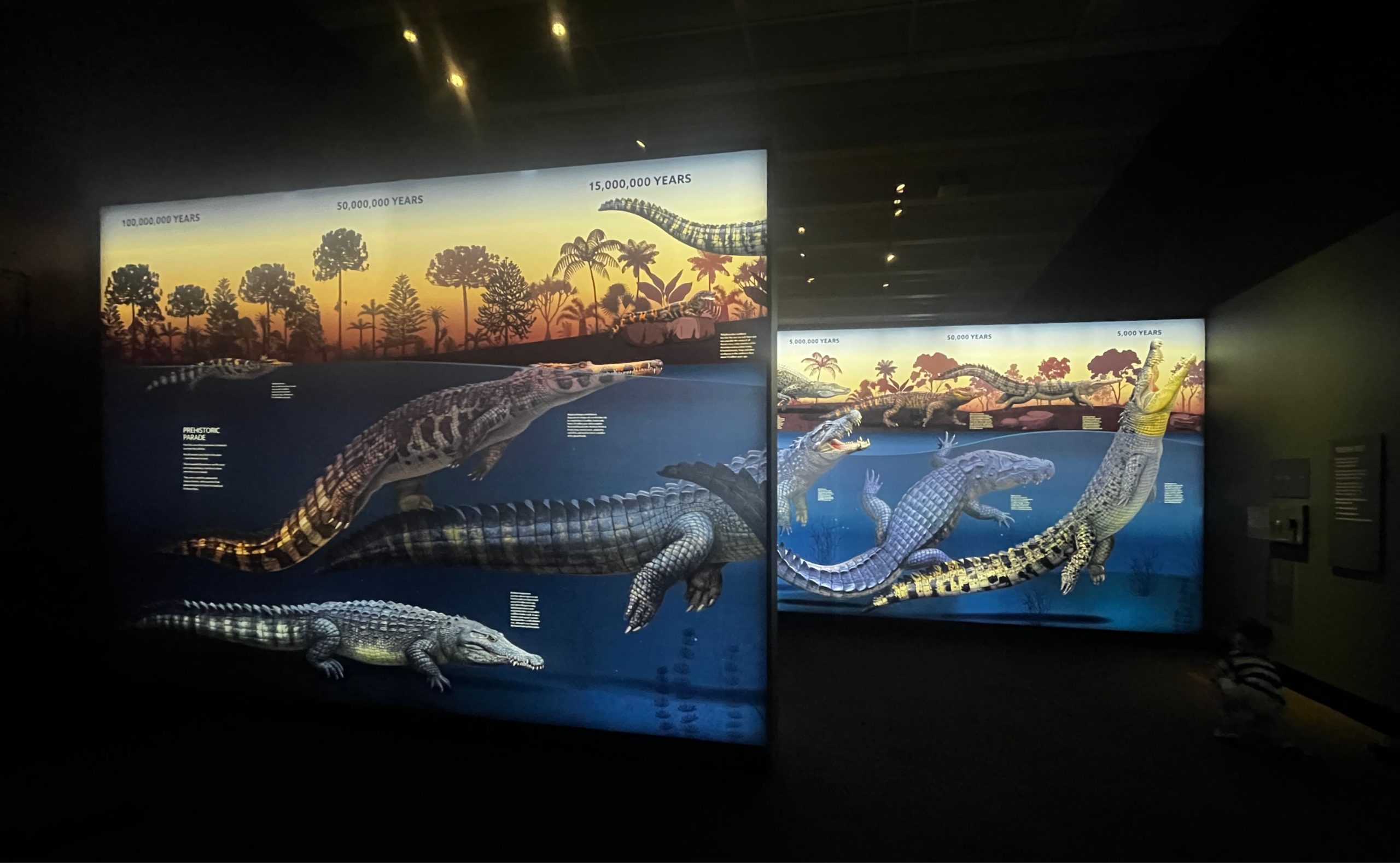 Croc! Lost Giants to Living Legends exhibition image